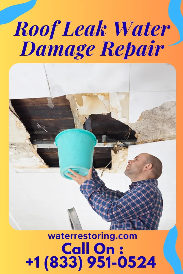 Roof Leak Water Damage Repair in Kingston, TN