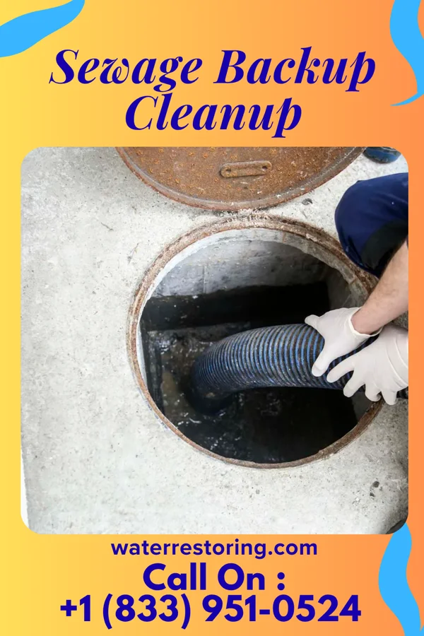 Sewage Backup Cleanup in Kingston, TN
